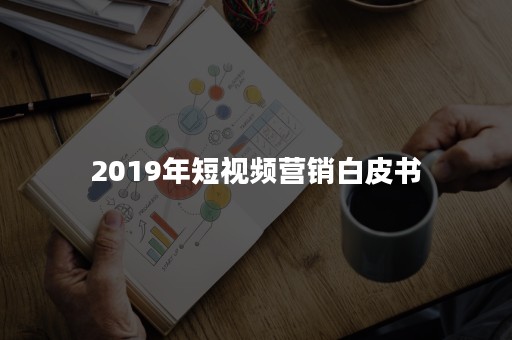 2019年短视频营销白皮书