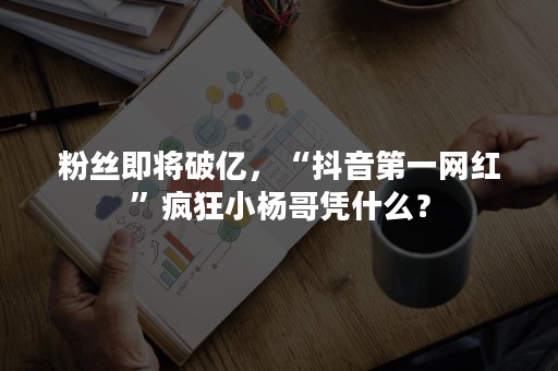 粉丝即将破亿，“抖音第一网红”疯狂小杨哥凭什么？
