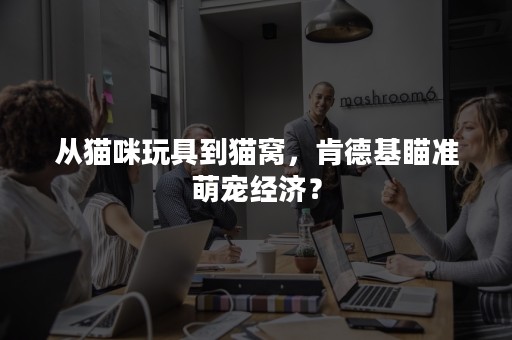 从猫咪玩具到猫窝，肯德基瞄准萌宠经济？