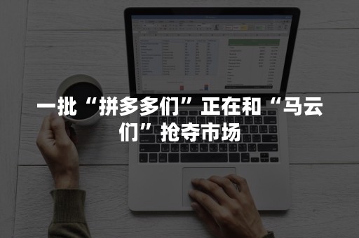 一批“拼多多们”正在和“马云们”抢夺市场