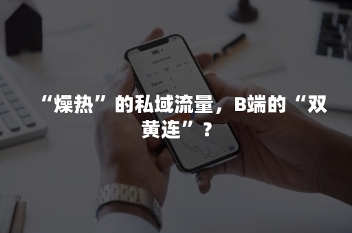 “燥热”的私域流量，B端的“双黄连”？