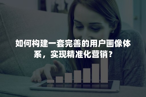 如何构建一套完善的用户画像体系，实现精准化营销？