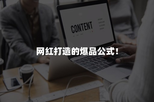 网红打造的爆品公式！