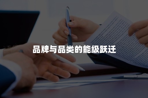 品牌与品类的能级跃迁