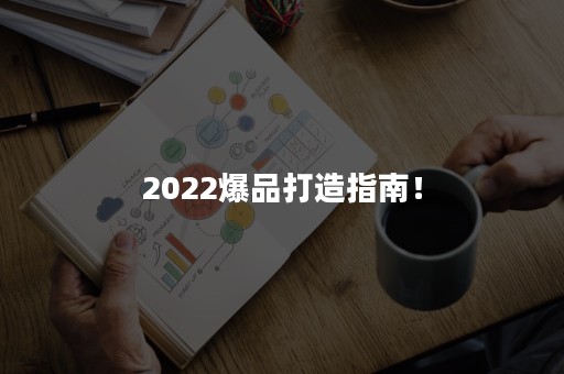 2022爆品打造指南！