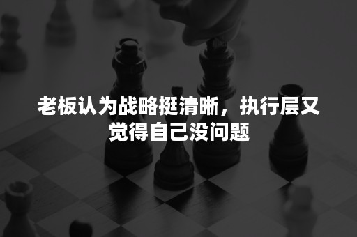 老板认为战略挺清晰，执行层又觉得自己没问题