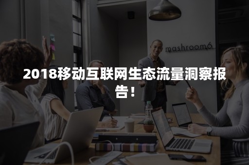 2018移动互联网生态流量洞察报告！