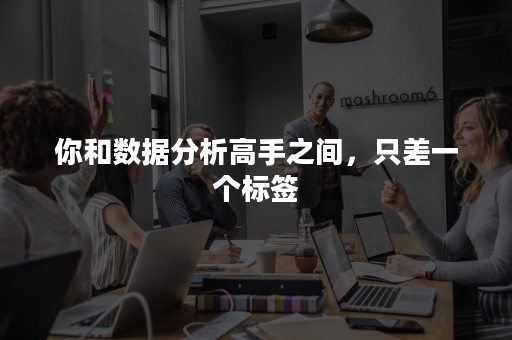 你和数据分析高手之间，只差一个标签