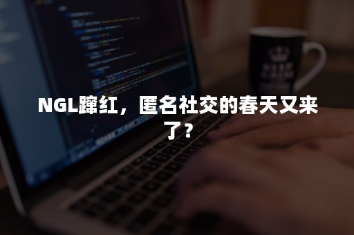 NGL蹿红，匿名社交的春天又来了？