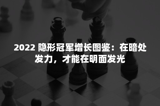 2022 隐形冠军增长图鉴：在暗处发力，才能在明面发光