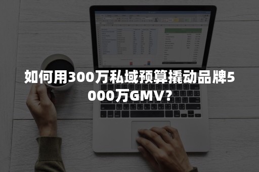 如何用300万私域预算撬动品牌5000万GMV？