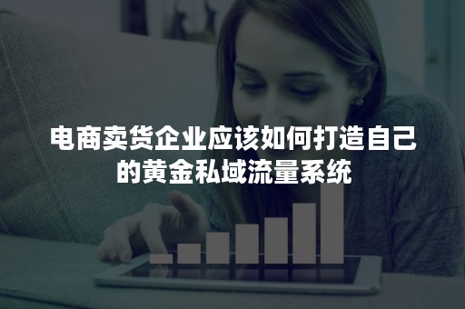 电商卖货企业应该如何打造自己的黄金私域流量系统