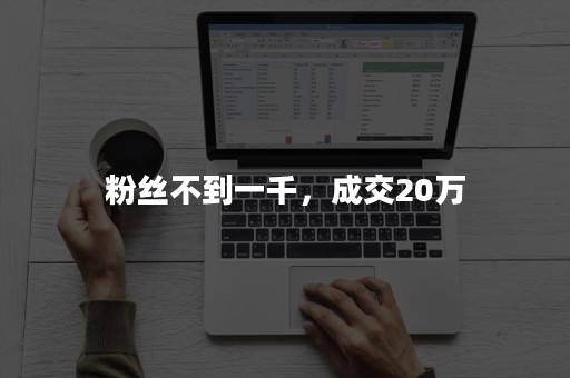 粉丝不到一千，成交20万