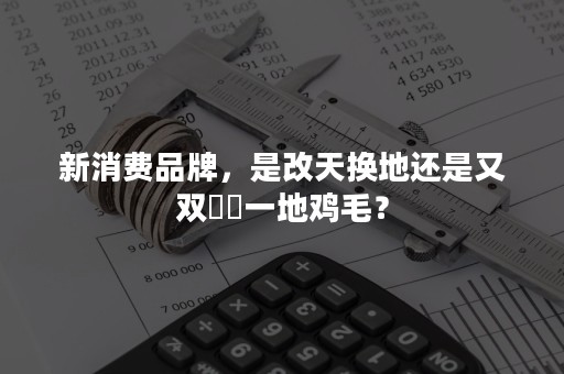 新消费品牌，是改天换地还是又双叒叕一地鸡毛？