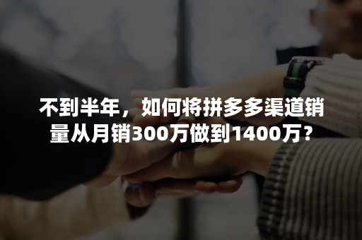 不到半年，如何将拼多多渠道销量从月销300万做到1400万？