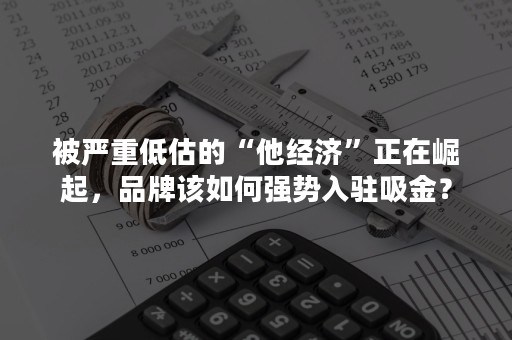 被严重低估的“他经济”正在崛起，品牌该如何强势入驻吸金？