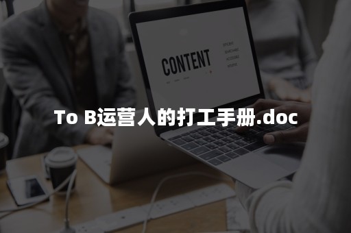 To B运营人的打工手册.doc