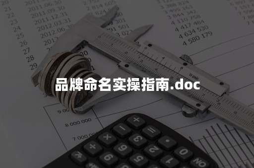 品牌命名实操指南.doc