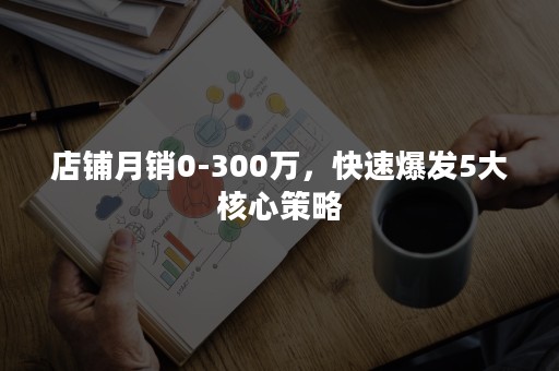 店铺月销0-300万，快速爆发5大核心策略