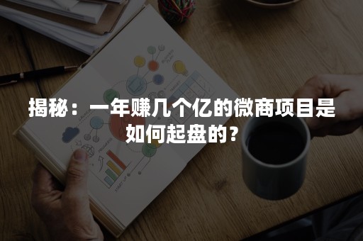 揭秘：一年赚几个亿的微商项目是如何起盘的？