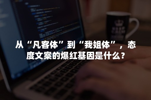 从“凡客体”到“我姐体”，态度文案的爆红基因是什么？