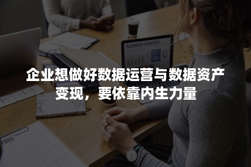 企业想做好数据运营与数据资产变现，要依靠内生力量