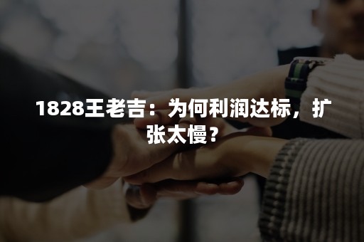 1828王老吉：为何利润达标，扩张太慢？