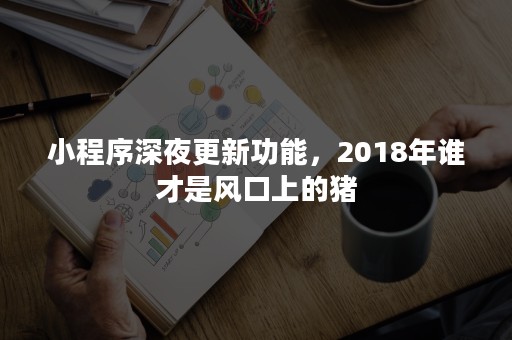 小程序深夜更新功能，2018年谁才是风口上的猪