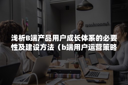 浅析B端产品用户成长体系的必要性及建设方法（b端用户运营策略）