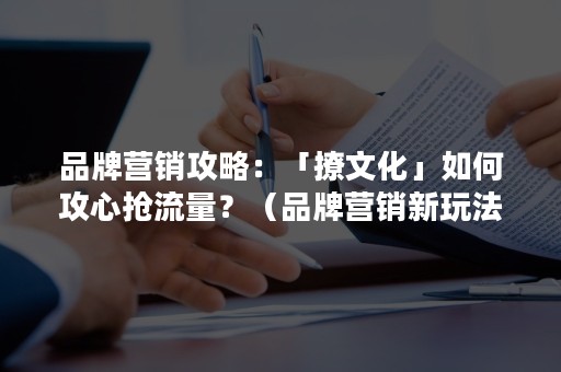 品牌营销攻略：「撩文化」如何攻心抢流量？（品牌营销新玩法）