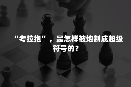 “考拉抱”，是怎样被炮制成超级符号的？