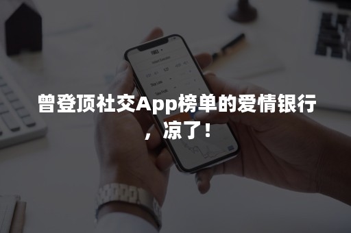 曾登顶社交App榜单的爱情银行，凉了！