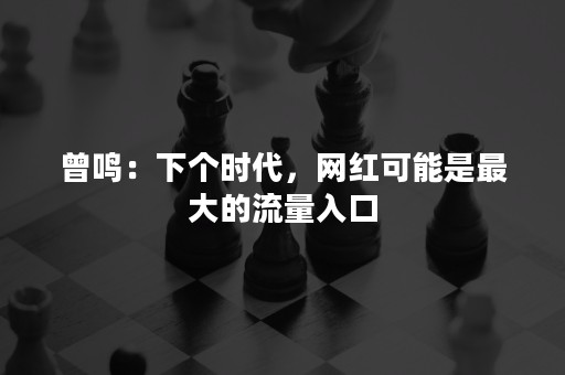 曾鸣：下个时代，网红可能是最大的流量入口