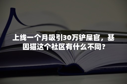 上线一个月吸引30万铲屎官，基因猫这个社区有什么不同？