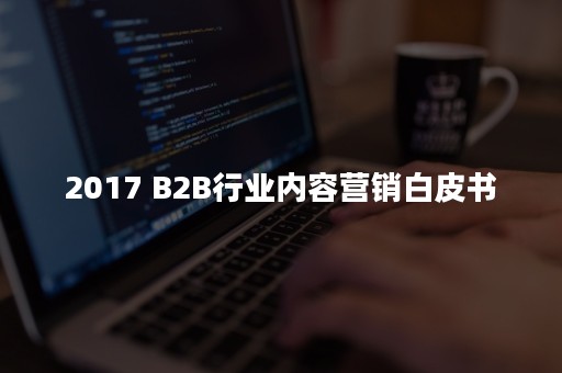 2017 B2B行业内容营销白皮书