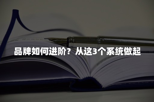 品牌如何进阶？从这3个系统做起