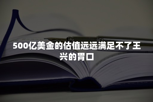 500亿美金的估值远远满足不了王兴的胃口