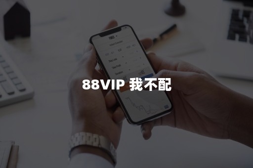 88VIP 我不配