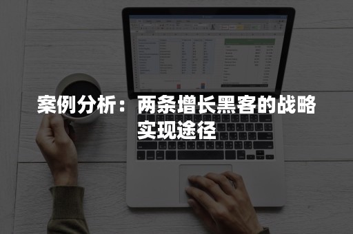 案例分析：两条增长黑客的战略实现途径