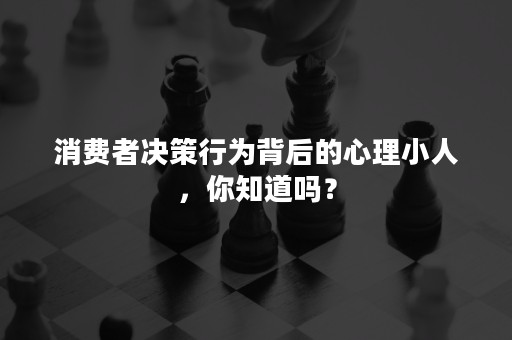 消费者决策行为背后的心理小人，你知道吗？