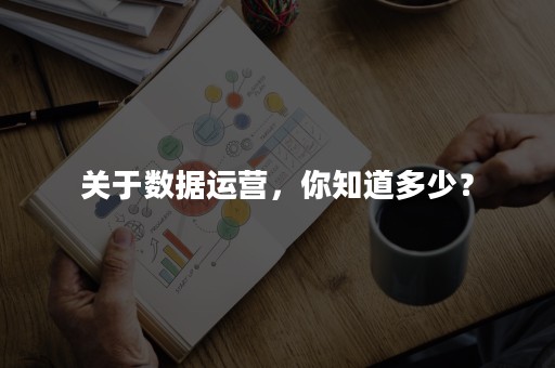 关于数据运营，你知道多少？