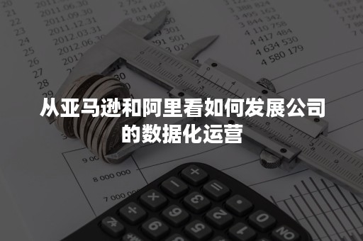 从亚马逊和阿里看如何发展公司的数据化运营