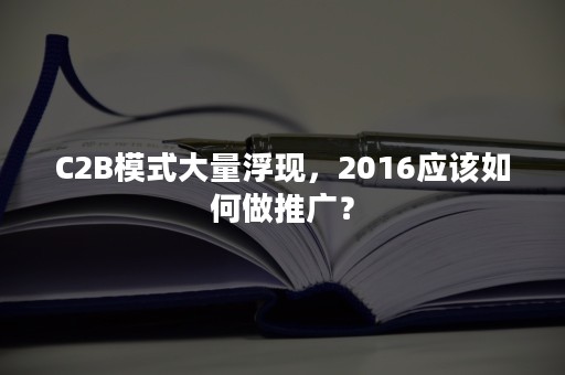 C2B模式大量浮现，2016应该如何做推广？