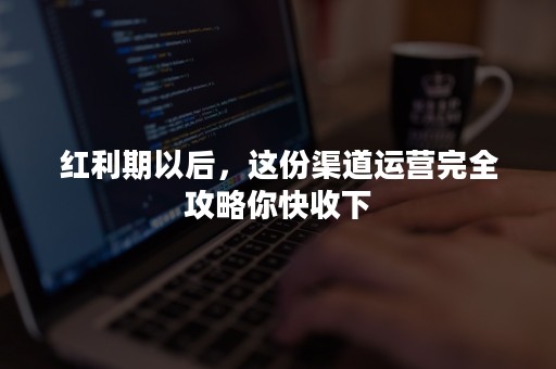 红利期以后，这份渠道运营完全攻略你快收下
