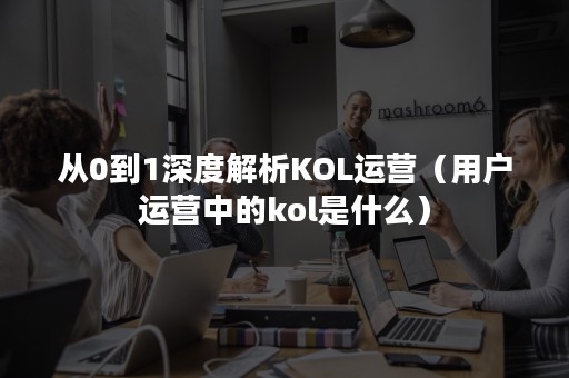 从0到1深度解析KOL运营（用户运营中的kol是什么）