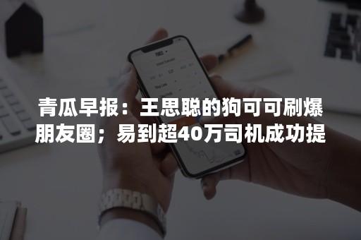 青瓜早报：王思聪的狗可可刷爆朋友圈；易到超40万司机成功提现；董明珠称5年内不讨论接班人…