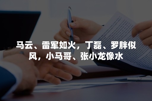 马云、雷军如火，丁磊、罗胖似风，小马哥、张小龙像水