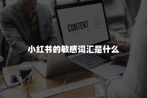 小红书的敏感词汇是什么