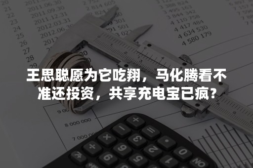 王思聪愿为它吃翔，马化腾看不准还投资，共享充电宝已疯？