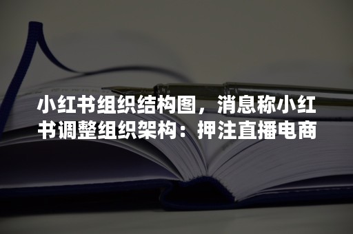 小红书组织结构图，消息称小红书调整组织架构：押注直播电商，结束社区和商业化之争